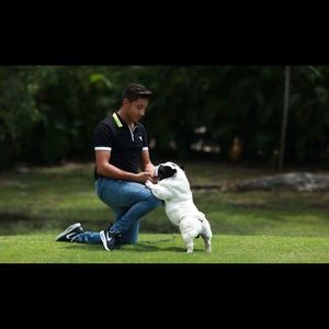 Meet your Posher, Ivan